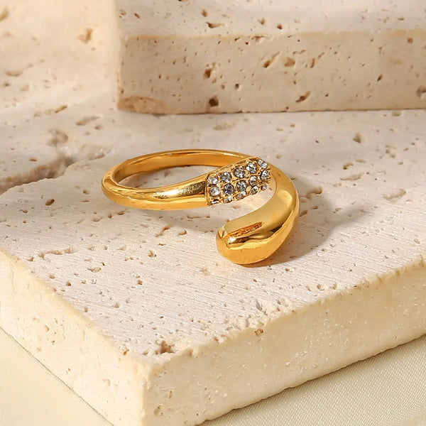 Ring Evi