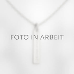 Per Aspera Ad Astra Stab-Halskette